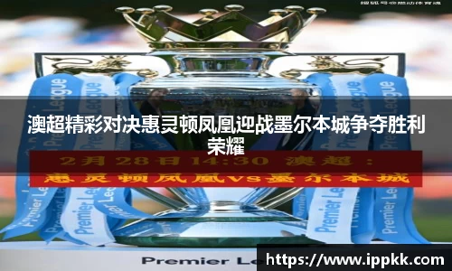 澳超精彩对决惠灵顿凤凰迎战墨尔本城争夺胜利荣耀